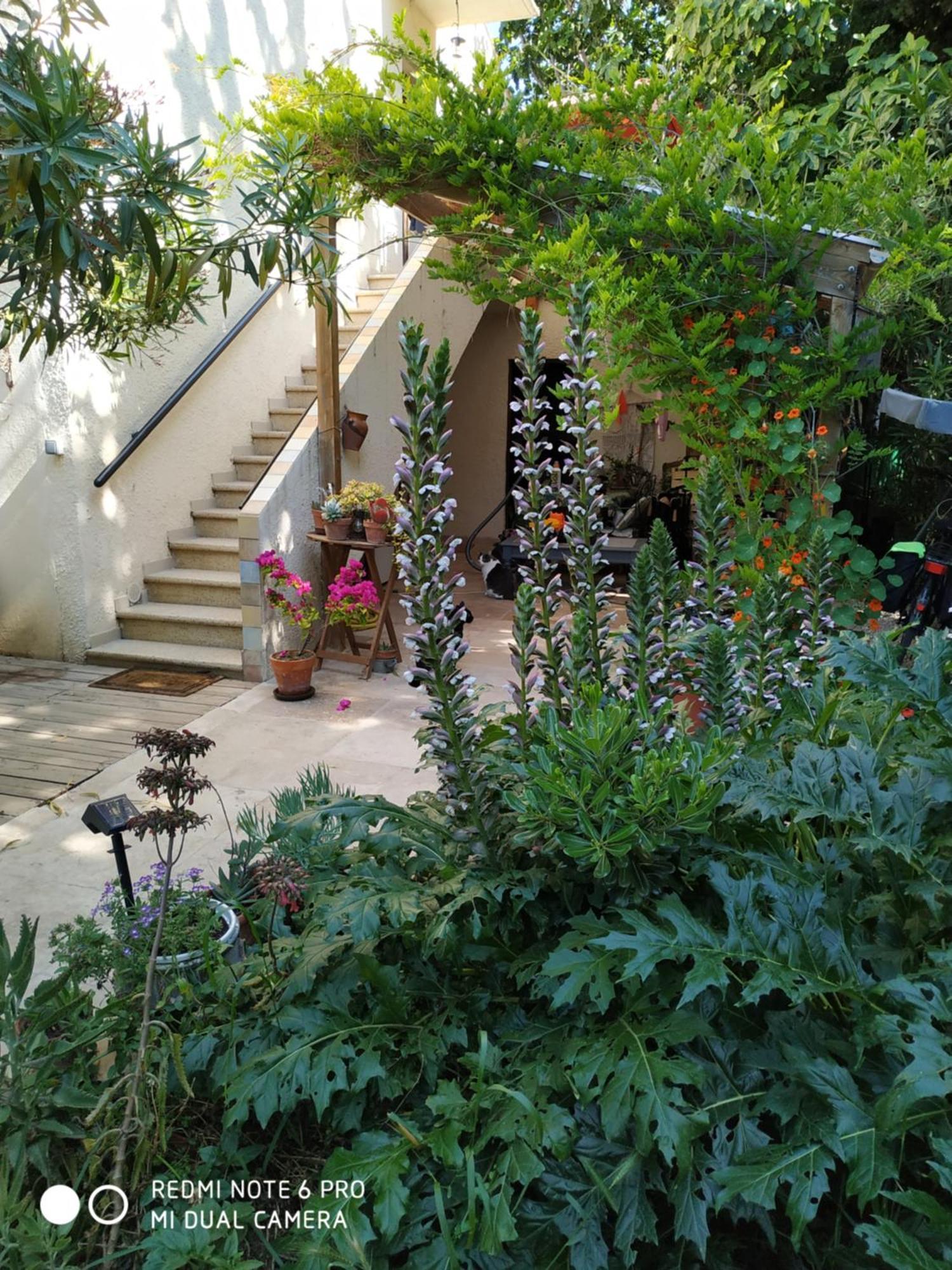En Ville Avec Un Air De Campagne Αρλ Εξωτερικό φωτογραφία